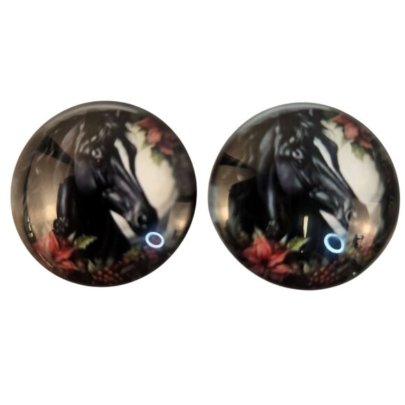 Set of 2 Black Horse Glass Cabochons 1 Inch Round, Floral Dome Craft Supply for - Picture 1 of 6